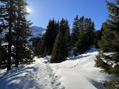 Wonderful winter hiking trails and traces in the fresh alpine snow cover of the Swiss Alps and over the tourist resort of Arosa - Canton of Grisons, Switzerland (Schweiz)