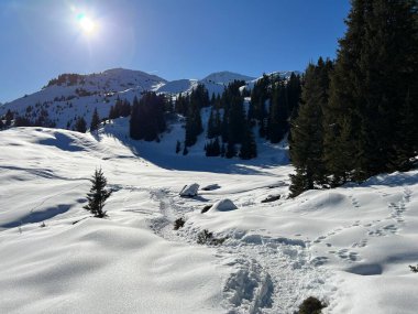Wonderful winter hiking trails and traces in the fresh alpine snow cover of the Swiss Alps and over the tourist resort of Arosa - Canton of Grisons, Switzerland (Schweiz)