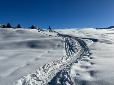 Wonderful winter hiking trails and traces in the fresh alpine snow cover of the Swiss Alps and over the tourist resort of Arosa - Canton of Grisons, Switzerland (Schweiz)