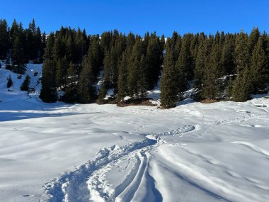 Wonderful winter hiking trails and traces in the fresh alpine snow cover of the Swiss Alps and over the tourist resort of Arosa - Canton of Grisons, Switzerland (Schweiz)