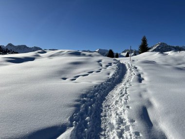 Wonderful winter hiking trails and traces in the fresh alpine snow cover of the Swiss Alps and over the tourist resort of Arosa - Canton of Grisons, Switzerland (Schweiz)