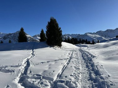 Wonderful winter hiking trails and traces in the fresh alpine snow cover of the Swiss Alps and over the tourist resort of Arosa - Canton of Grisons, Switzerland (Schweiz)