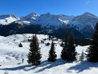 Picturesque canopies of alpine trees in a typical winter atmosphere in the Swiss Alps and over the tourist resort of Arosa - Canton of Grisons, Switzerland (Schweiz)