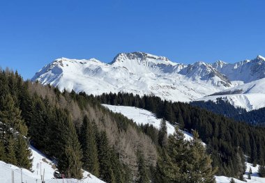 Picturesque canopies of alpine trees in a typical winter atmosphere in the Swiss Alps and over the tourist resort of Arosa - Canton of Grisons, Switzerland (Schweiz)