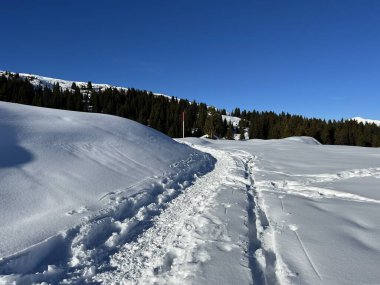 Wonderful winter hiking trails and traces in the fresh alpine snow cover of the Swiss Alps and over the tourist resort of Arosa - Canton of Grisons, Switzerland (Schweiz)