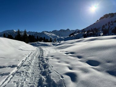Wonderful winter hiking trails and traces in the fresh alpine snow cover of the Swiss Alps and over the tourist resort of Arosa - Canton of Grisons, Switzerland (Schweiz)