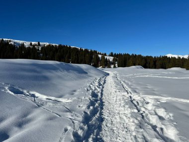 Wonderful winter hiking trails and traces in the fresh alpine snow cover of the Swiss Alps and over the tourist resort of Arosa - Canton of Grisons, Switzerland (Schweiz)