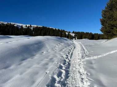 Wonderful winter hiking trails and traces in the fresh alpine snow cover of the Swiss Alps and over the tourist resort of Arosa - Canton of Grisons, Switzerland (Schweiz)