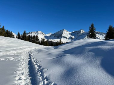 Wonderful winter hiking trails and traces in the fresh alpine snow cover of the Swiss Alps and over the tourist resort of Arosa - Canton of Grisons, Switzerland (Schweiz)