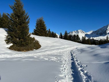 Wonderful winter hiking trails and traces in the fresh alpine snow cover of the Swiss Alps and over the tourist resort of Arosa - Canton of Grisons, Switzerland (Schweiz)
