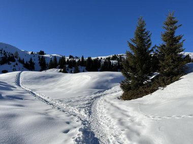 Wonderful winter hiking trails and traces in the fresh alpine snow cover of the Swiss Alps and over the tourist resort of Arosa - Canton of Grisons, Switzerland (Schweiz)