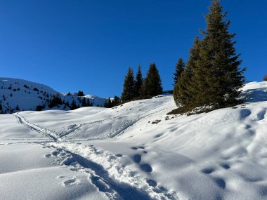 Wonderful winter hiking trails and traces in the fresh alpine snow cover of the Swiss Alps and over the tourist resort of Arosa - Canton of Grisons, Switzerland (Schweiz)