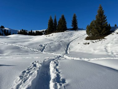 Wonderful winter hiking trails and traces in the fresh alpine snow cover of the Swiss Alps and over the tourist resort of Arosa - Canton of Grisons, Switzerland (Schweiz)