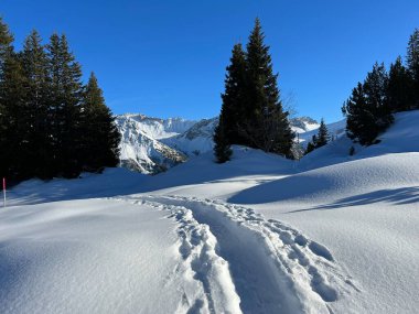 Wonderful winter hiking trails and traces in the fresh alpine snow cover of the Swiss Alps and over the tourist resort of Arosa - Canton of Grisons, Switzerland (Schweiz)