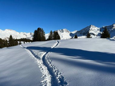 Wonderful winter hiking trails and traces in the fresh alpine snow cover of the Swiss Alps and over the tourist resort of Arosa - Canton of Grisons, Switzerland (Schweiz)