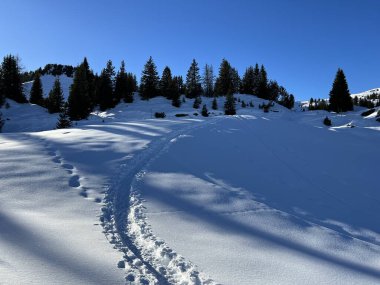 Wonderful winter hiking trails and traces in the fresh alpine snow cover of the Swiss Alps and over the tourist resort of Arosa - Canton of Grisons, Switzerland (Schweiz)