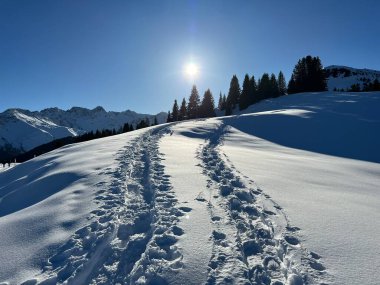 Wonderful winter hiking trails and traces in the fresh alpine snow cover of the Swiss Alps and over the tourist resort of Arosa - Canton of Grisons, Switzerland (Schweiz)