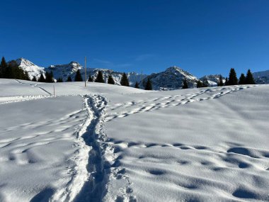 Wonderful winter hiking trails and traces in the fresh alpine snow cover of the Swiss Alps and over the tourist resort of Arosa - Canton of Grisons, Switzerland (Schweiz)