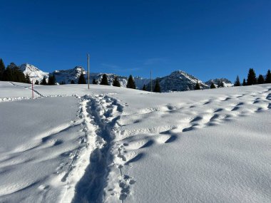Wonderful winter hiking trails and traces in the fresh alpine snow cover of the Swiss Alps and over the tourist resort of Arosa - Canton of Grisons, Switzerland (Schweiz)