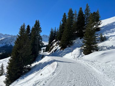Excellently arranged and cleaned winter trails for walking, hiking, sports and recreation in the area of the Swiss tourist winter resort of Arosa - Canton of Grisons, Switzerland (Schweiz)