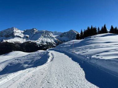 Excellently arranged and cleaned winter trails for walking, hiking, sports and recreation in the area of the Swiss tourist winter resort of Arosa - Canton of Grisons, Switzerland (Schweiz)