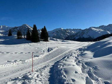 Excellently arranged and cleaned winter trails for walking, hiking, sports and recreation in the area of the Swiss tourist winter resort of Arosa - Canton of Grisons, Switzerland (Schweiz)
