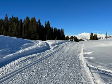 Excellently arranged and cleaned winter trails for walking, hiking, sports and recreation in the area of the Swiss tourist winter resort of Arosa - Canton of Grisons, Switzerland (Schweiz)