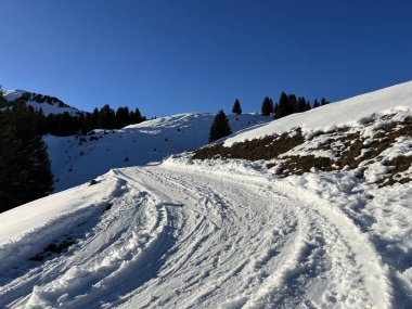 Excellently arranged and cleaned winter trails for walking, hiking, sports and recreation in the area of the Swiss tourist winter resort of Arosa - Canton of Grisons, Switzerland (Schweiz)