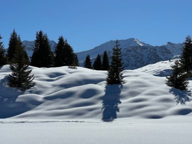 A magical play of sunlight and shadow during the alpine winter on the snowy slopes above the mountine Swiss tourist resort of Arosa - Canton of Grisons, Switzerland (Schweiz)