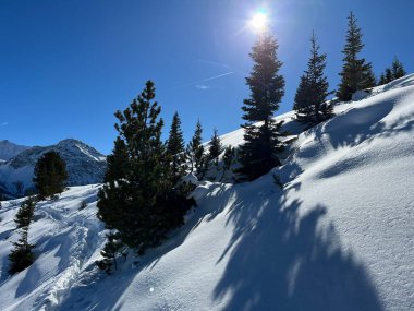 A magical play of sunlight and shadow during the alpine winter on the snowy slopes above the mountine Swiss tourist resort of Arosa - Canton of Grisons, Switzerland (Schweiz)