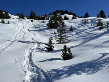 A magical play of sunlight and shadow during the alpine winter on the snowy slopes above the mountine Swiss tourist resort of Arosa - Canton of Grisons, Switzerland (Schweiz)