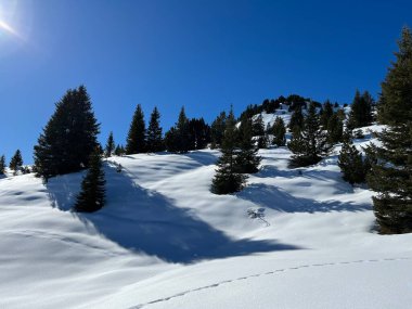 A magical play of sunlight and shadow during the alpine winter on the snowy slopes above the mountine Swiss tourist resort of Arosa - Canton of Grisons, Switzerland (Schweiz)