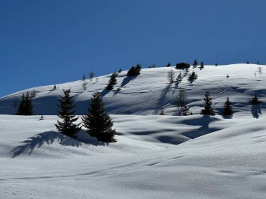 A magical play of sunlight and shadow during the alpine winter on the snowy slopes above the mountine Swiss tourist resort of Arosa - Canton of Grisons, Switzerland (Schweiz)
