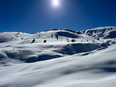 A magical play of sunlight and shadow during the alpine winter on the snowy slopes above the mountine Swiss tourist resort of Arosa - Canton of Grisons, Switzerland (Schweiz)