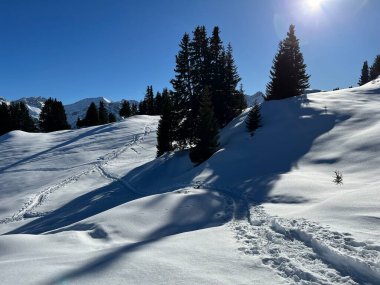 A magical play of sunlight and shadow during the alpine winter on the snowy slopes above the mountine Swiss tourist resort of Arosa - Canton of Grisons, Switzerland (Schweiz)