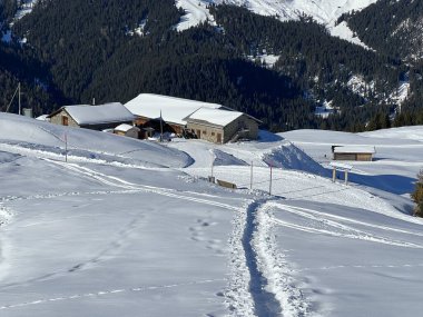 Old traditional swiss rural architecture and alpine livestock farms in the winter ambience of the alpine Swiss tourist resort Arosa - Canton of Grisons, Switzerland (Schweiz)
