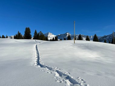 Wonderful winter hiking trails and traces in the fresh alpine snow cover of the Swiss Alps and over the tourist resort of Arosa - Canton of Grisons, Switzerland (Schweiz)