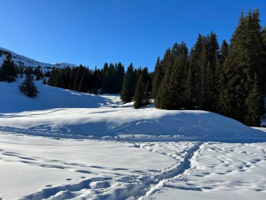 Wonderful winter hiking trails and traces in the fresh alpine snow cover of the Swiss Alps and over the tourist resort of Arosa - Canton of Grisons, Switzerland (Schweiz)