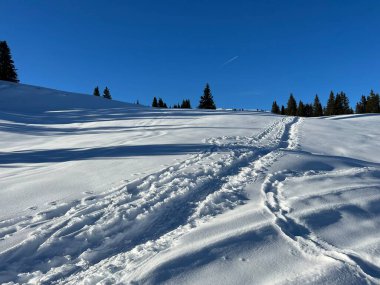 Wonderful winter hiking trails and traces in the fresh alpine snow cover of the Swiss Alps and over the tourist resort of Arosa - Canton of Grisons, Switzerland (Schweiz)