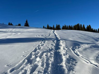 Wonderful winter hiking trails and traces in the fresh alpine snow cover of the Swiss Alps and over the tourist resort of Arosa - Canton of Grisons, Switzerland (Schweiz)