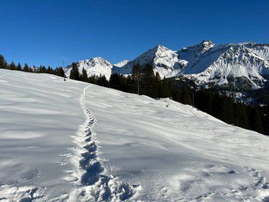 Wonderful winter hiking trails and traces in the fresh alpine snow cover of the Swiss Alps and over the tourist resort of Arosa - Canton of Grisons, Switzerland (Schweiz)
