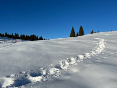 Wonderful winter hiking trails and traces in the fresh alpine snow cover of the Swiss Alps and over the tourist resort of Arosa - Canton of Grisons, Switzerland (Schweiz)