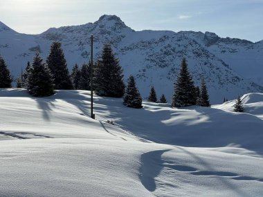 İsviçre Alpleri 'ndeki tipik kış atmosferindeki alp ağaçlarının ve İsviçre' nin Grisonlar Kantonu 'ndaki turizm beldesi Arosa' nın üzerindeki resim gibi gölgeler (Schweiz)