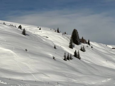 İsviçre Alpleri 'ndeki tipik kış atmosferindeki alp ağaçlarının ve İsviçre' nin Grisonlar Kantonu 'ndaki turizm beldesi Arosa' nın üzerindeki resim gibi gölgeler (Schweiz)