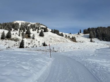 Excellently arranged and cleaned winter trails for walking, hiking, sports and recreation in the area of the Swiss tourist winter resort of Arosa - Canton of Grisons, Switzerland (Schweiz)
