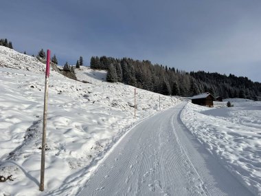 Excellently arranged and cleaned winter trails for walking, hiking, sports and recreation in the area of the Swiss tourist winter resort of Arosa - Canton of Grisons, Switzerland (Schweiz)