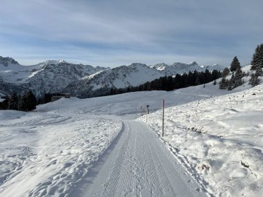 Excellently arranged and cleaned winter trails for walking, hiking, sports and recreation in the area of the Swiss tourist winter resort of Arosa - Canton of Grisons, Switzerland (Schweiz)