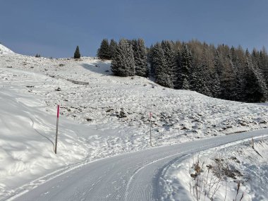 Excellently arranged and cleaned winter trails for walking, hiking, sports and recreation in the area of the Swiss tourist winter resort of Arosa - Canton of Grisons, Switzerland (Schweiz)