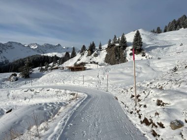 Excellently arranged and cleaned winter trails for walking, hiking, sports and recreation in the area of the Swiss tourist winter resort of Arosa - Canton of Grisons, Switzerland (Schweiz)