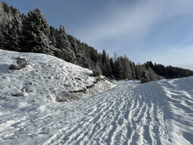 Excellently arranged and cleaned winter trails for walking, hiking, sports and recreation in the area of the Swiss tourist winter resort of Arosa - Canton of Grisons, Switzerland (Schweiz)